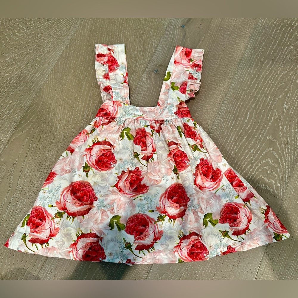 Phi Clothing Spanish European Rosette Floral Dress 3T years